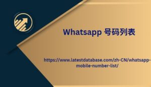 Whatsapp 号码列表