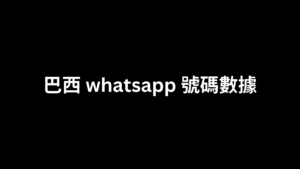 巴西 whatsapp 號碼數據 